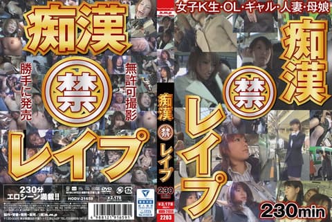 痴汉强暴 230分钟 HODV-21659